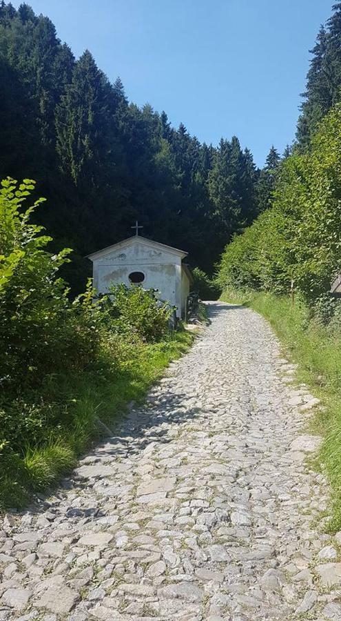 B&B Il Centrale Zone Zewnętrze zdjęcie